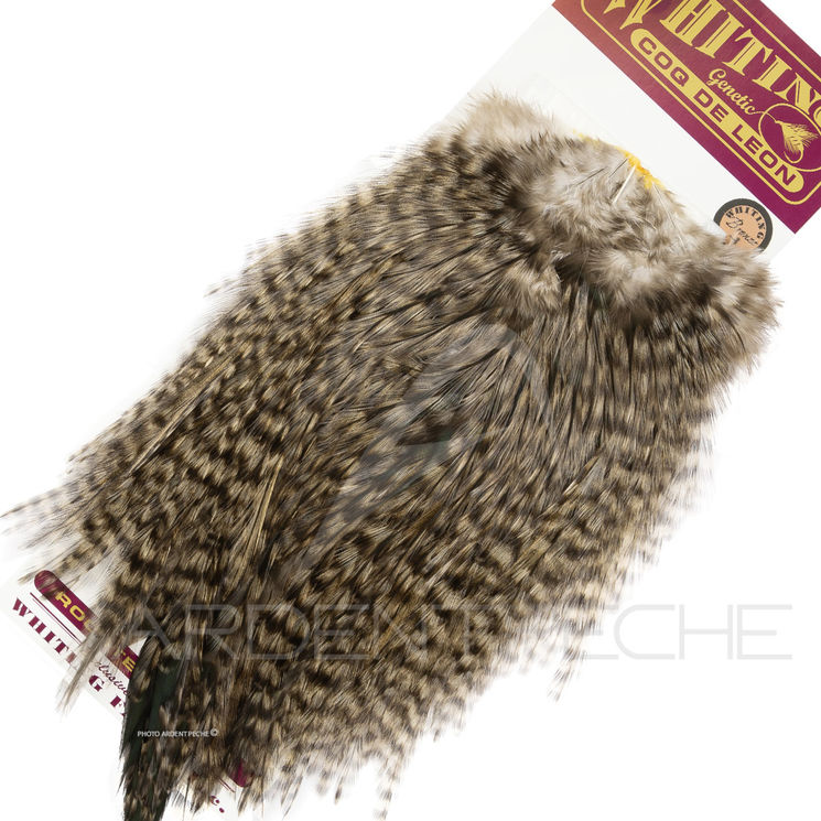 Croupes pardo Whiting Grizzly Variant