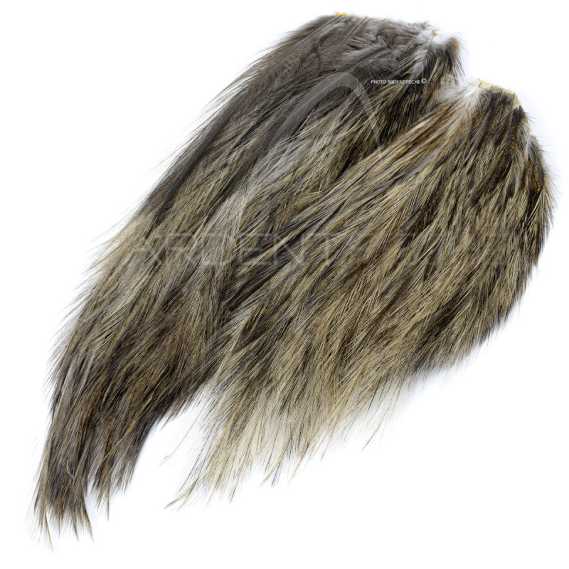 Coq de Léon Whiting Tailing Pack dark dun