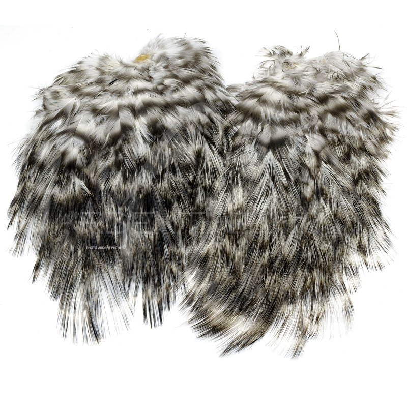 Coq de Léon Whiting Tailing Pack grizzly