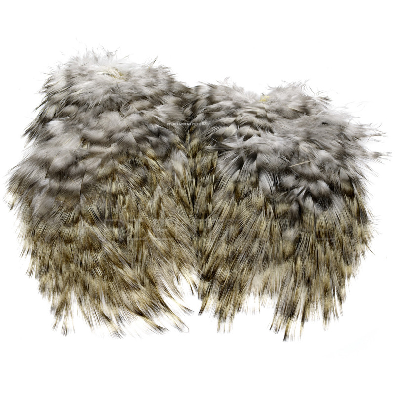 Coq de Léon Whiting Tailing Pack grizzly pardo