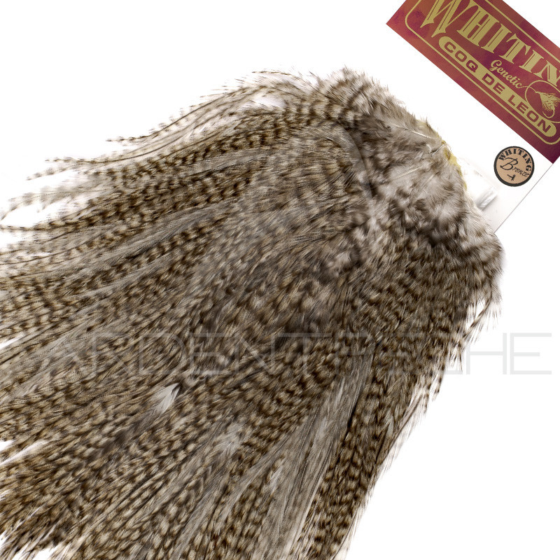 Croupes pardo Whiting Bronze Grizzly pardo