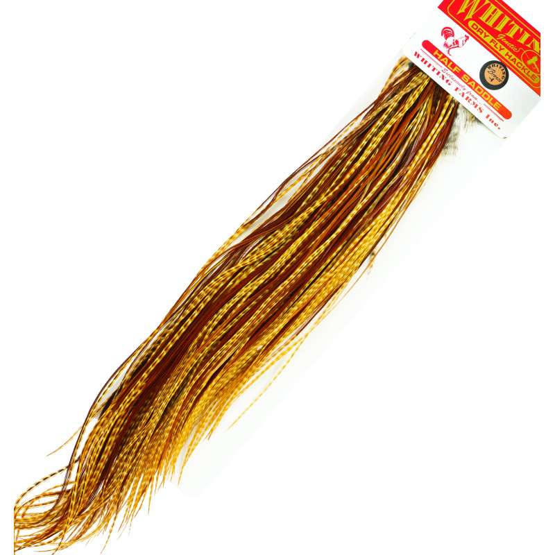 1/2 saddle WHITING bronze Barred Dark Ginger