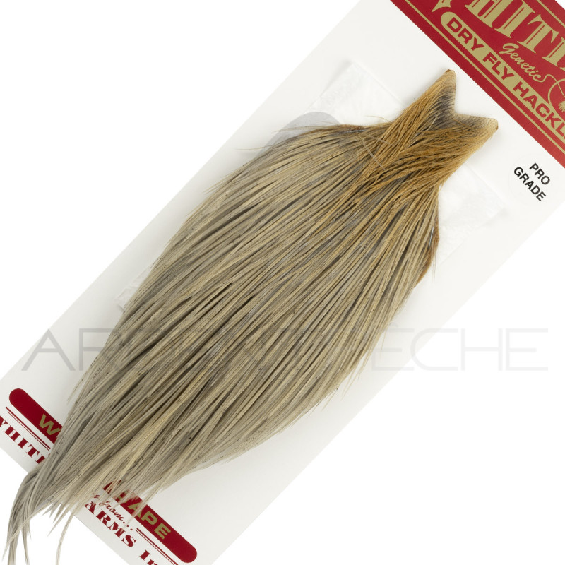 Cous de coq WHITING Pro grade Natural Dun