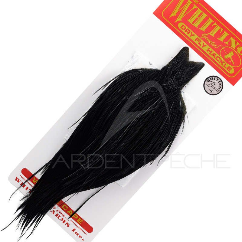 Cous de coq WHITING bronze noir - Ardent Fly Fishing