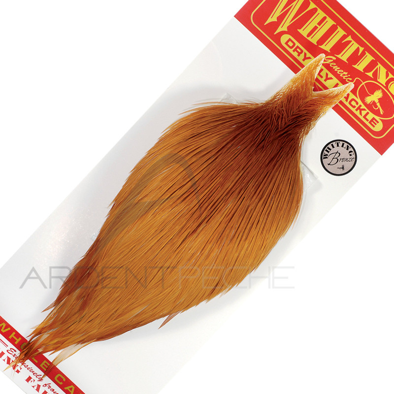 Cous de coq WHITING bronze roux - Ardent Fly Fishing