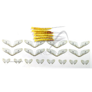 Kit montage éphèmère Danica réalistes jaune