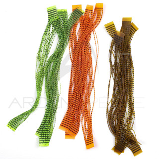 Micro pattes grizzly