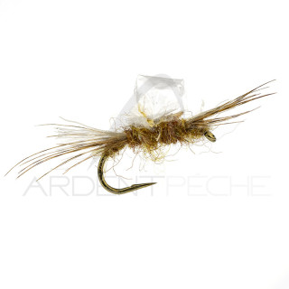 Sub-Sedge Spent SBN Alan Campbell