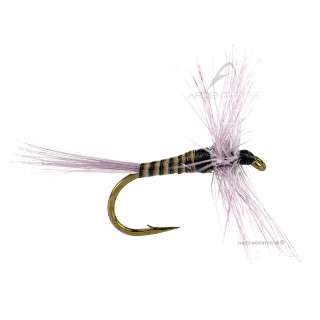 Mouche DEVAUX Sèche AK5