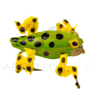 Mouche réaliste Grenouille verte