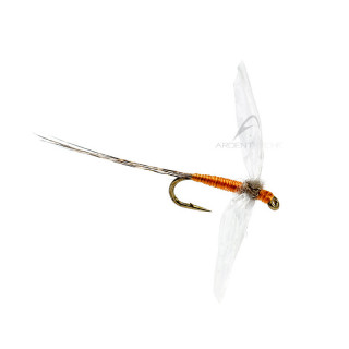 Mouche AB FLY Ephémères spents SBC OR