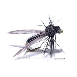 Mouche Igor et Nadica Stancev Bibio ailée