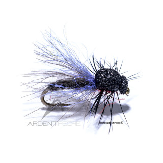 Mouche Igor et Nadica Stancev CDC Bibio