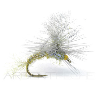 Mouche Igor et Nadica Stancev Para émergente BWO