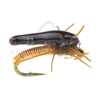 Nymphe Alan Campbell SBN 014