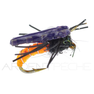 Nymphe Alan Campbell SBN 040