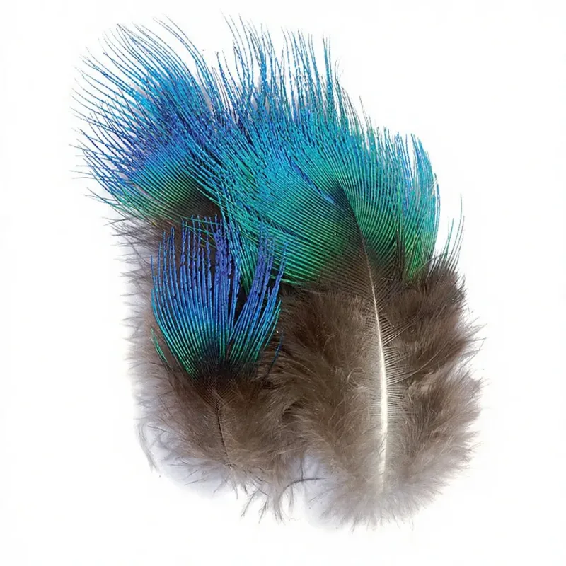 25 plumes de paon bleu or 7.5cm - Beaux-Arts et Loisirs créatifs
