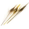Quill de paon ébarbés DEVAUX