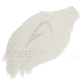 Cou de coq teinté ( rooster neck)