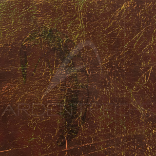 Fine FlashBack SYBAI