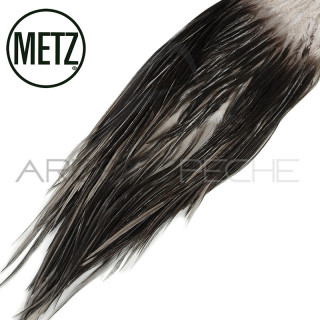 Croupes de coq METZ grade 2