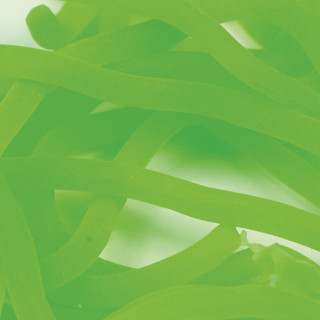 Caster's Squirmito Worm