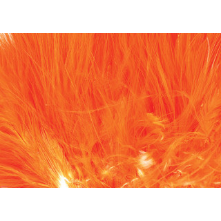 Marabout plumes quill