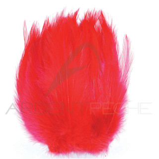 Grand hackle de coq