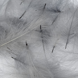 Cul de canard vrac AB FLY 1gr