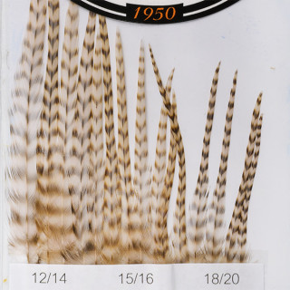 Hackles Génétic DEVAUX