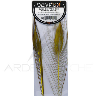 Quill de paon ébarbés DEVAUX