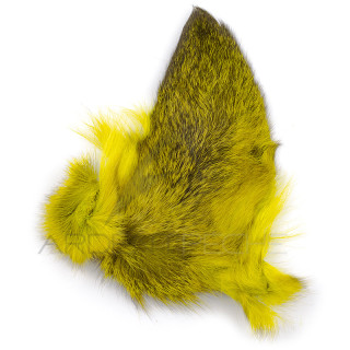 Oreille de chevreuil teintées