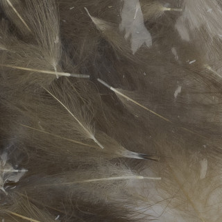 Cul de canard vrac AB FLY 1gr