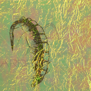 Fine FlashBack SYBAI