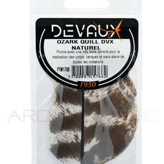 Ozark quill DEVAUX