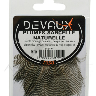 Sarcelle DEVAUX