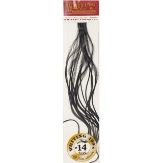 Plumes de Saddle WHITING 100