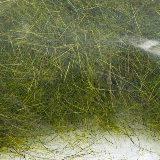 Dubbing lièvre sauvage