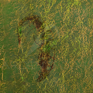 Fine FlashBack SYBAI