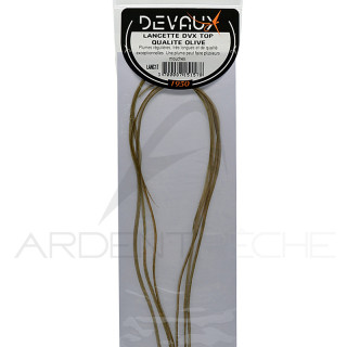 Lancettes de coq DEVAUX Top qualité
