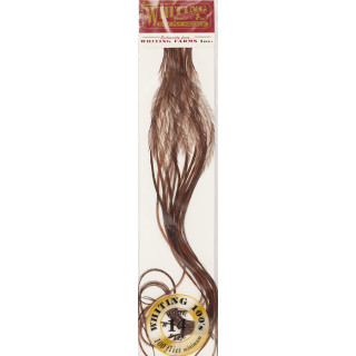 Plumes de Saddle WHITING 100
