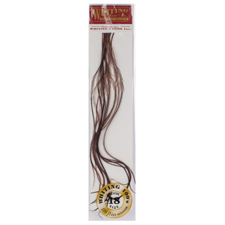 Plumes de Saddle WHITING 100