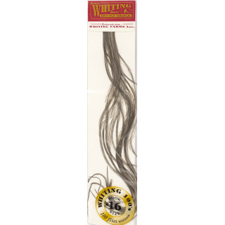 Plumes de Saddle WHITING 100
