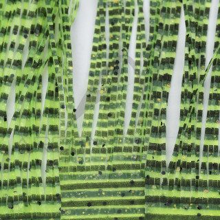 Micro pattes grizzly