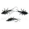 Mouche réaliste Stonefly nymphe Noir