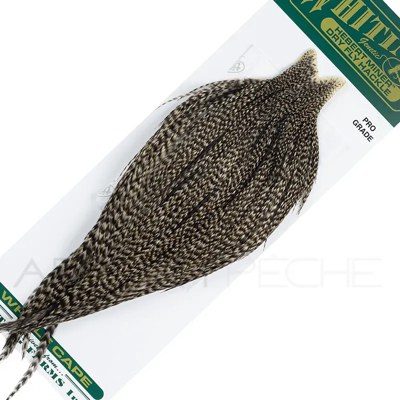 Cous de coq WHITING HEBERT Pro Grade Grizzly Variant