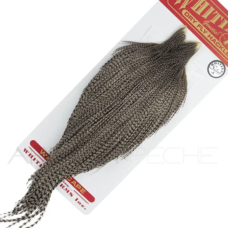 Cous de coq WHITING Silver Grizzly teinté gris