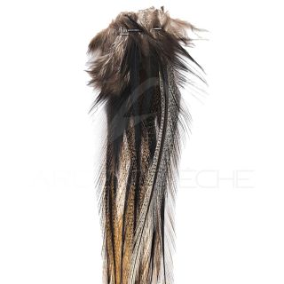 Plumes DEVAUX Lancette Pardo Foncé