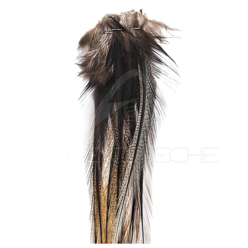 Plumes DEVAUX Lancette Pardo Foncé