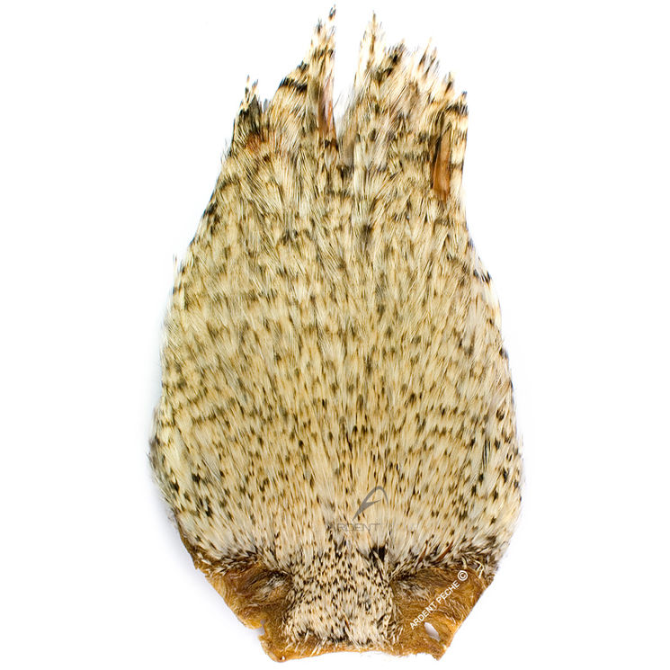 Cous de coq Dry Fly chinchilla